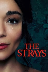 The Strays (2023) online sa prevodom