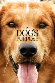 A Dog’s Purpose (2017) online sa prevodom