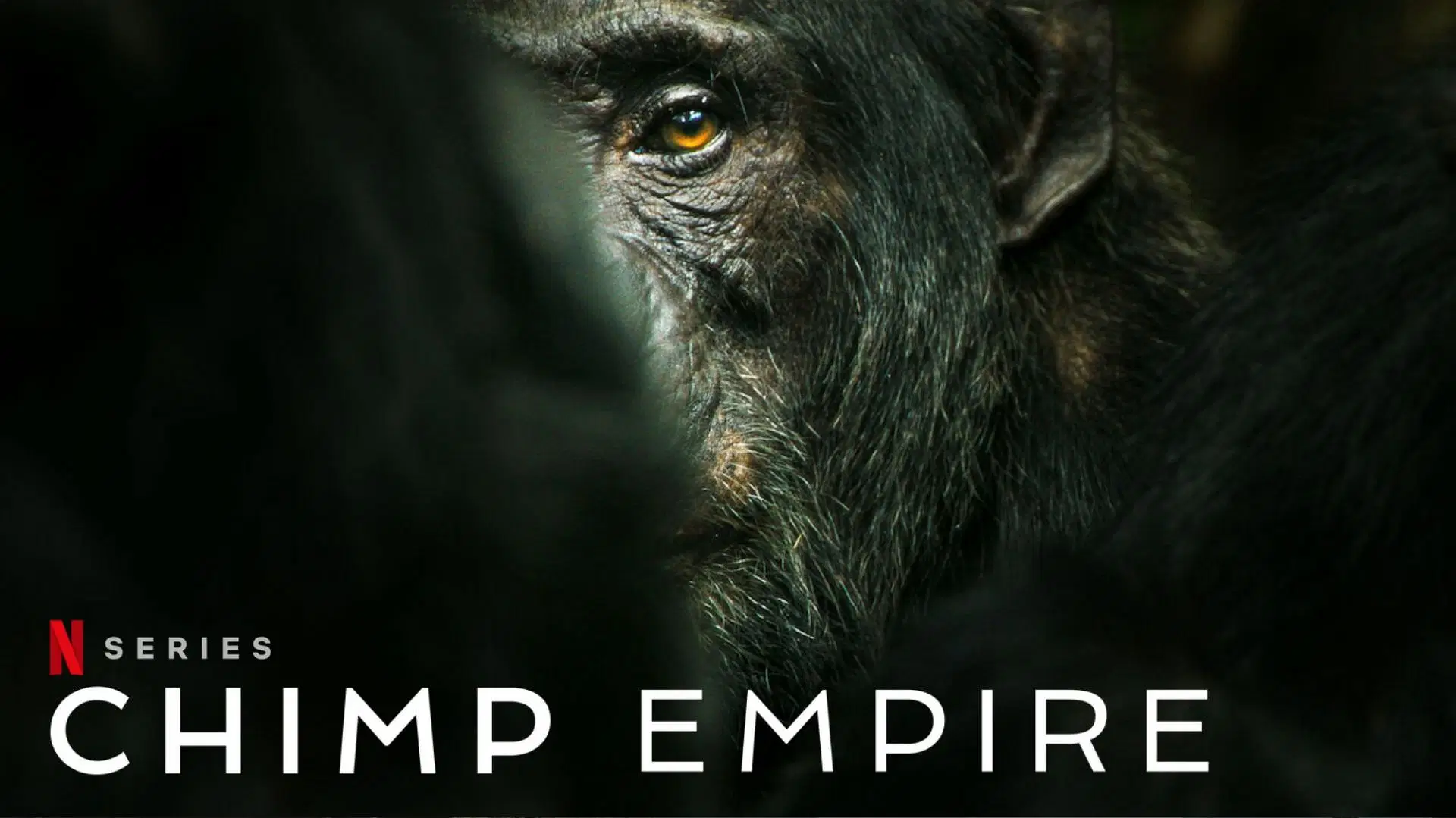 Chimp Empire (2023) – S01E02 Sezona 1 Epizoda 2