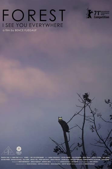 Forest online sa prevodom