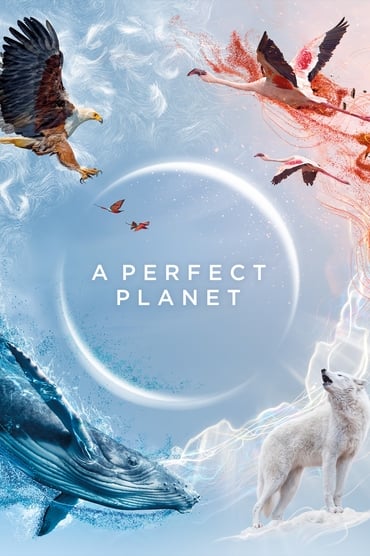 A Perfect Planet (2021) online sa prevodom