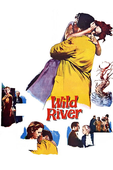 Wild River (1960) online sa prevodom