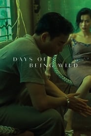 Days of Being Wild (1990) online sa prevodom