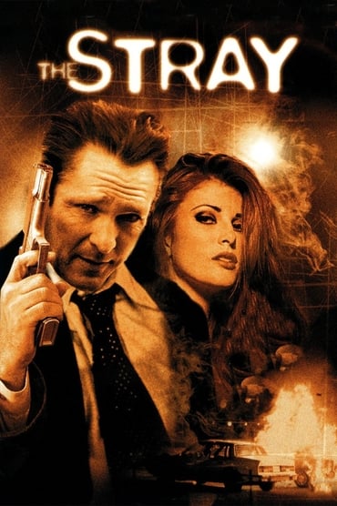 The Stray (2000) online sa prevodom