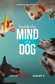 Inside the Mind of a Dog (2024) online sa prevodom