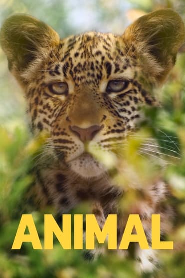Animal (2021) online sa prevodom