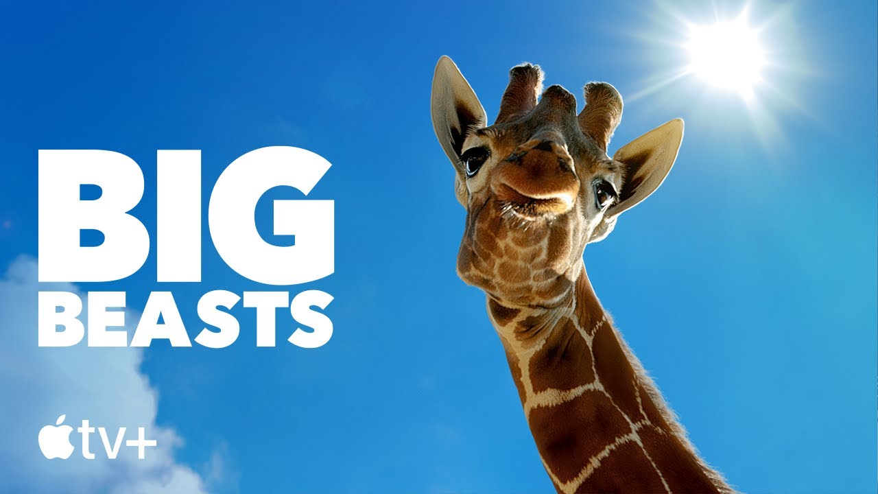 Big Beasts (2023) – S01E08 Sezona 1 Epizoda 8