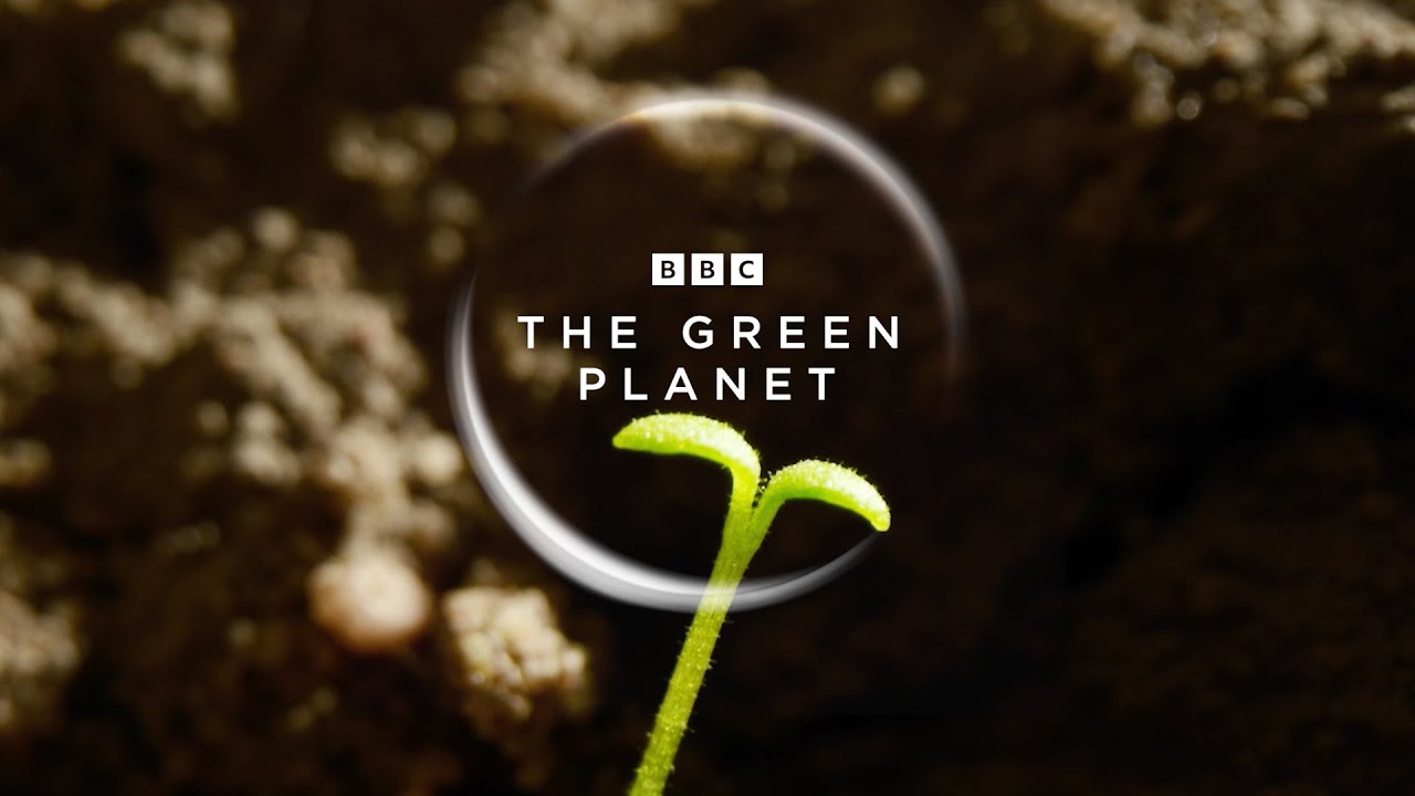 The Green Planet (2022) – S01E02 Sezona 1 Epizoda 2