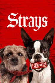 Strays (2023) online sa prevodom