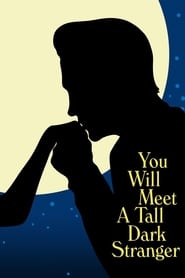You Will Meet a Tall Dark Stranger (2010) online sa prevodom