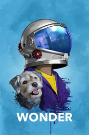 Wonder (2017) online sa prevodom