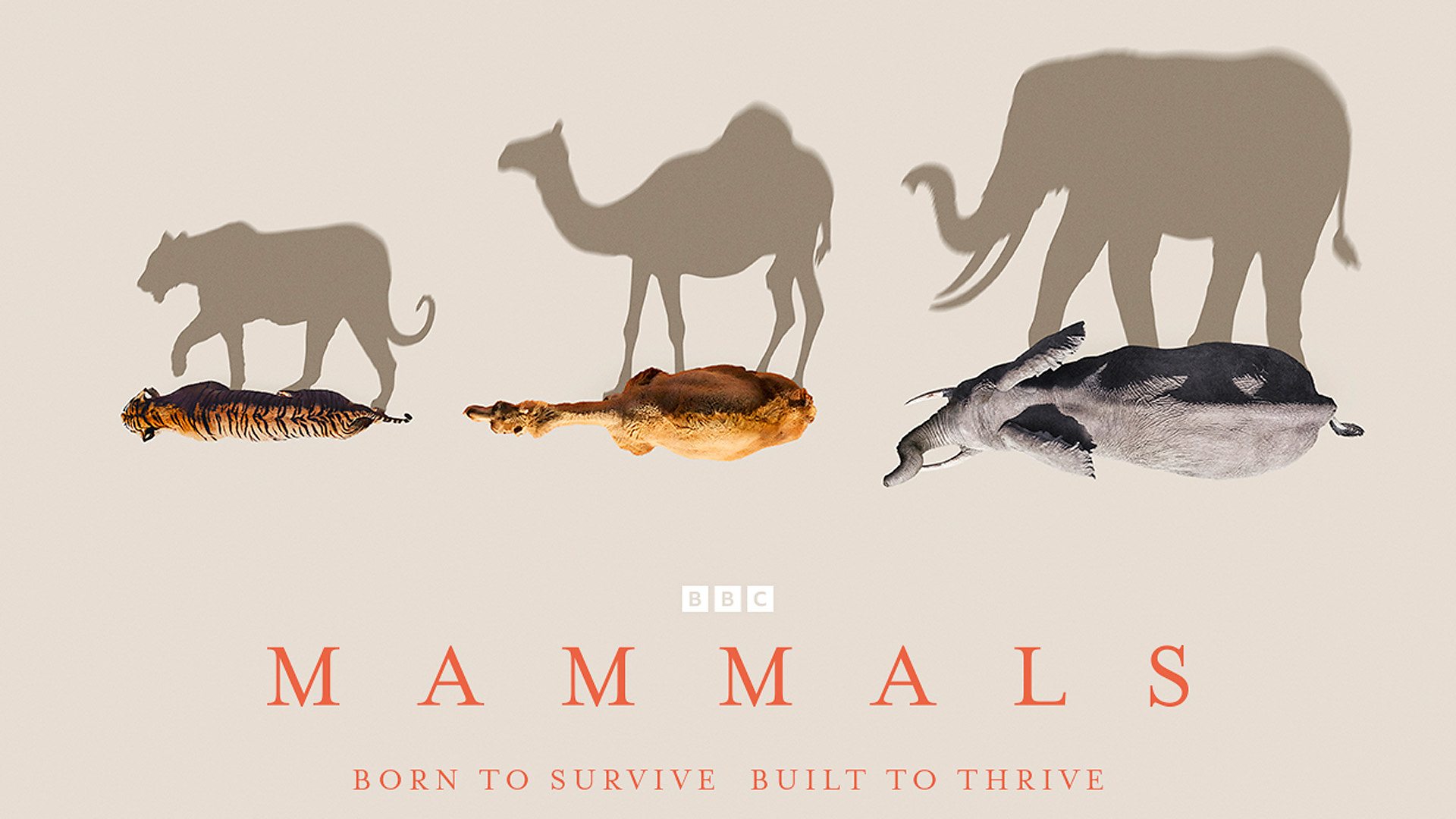 Mammals (2024) – S01E01 Sezona 1 Epizoda 1