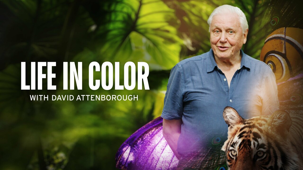 Life in Colour (2021) – S01E03 Sezona 1 Epizoda 3