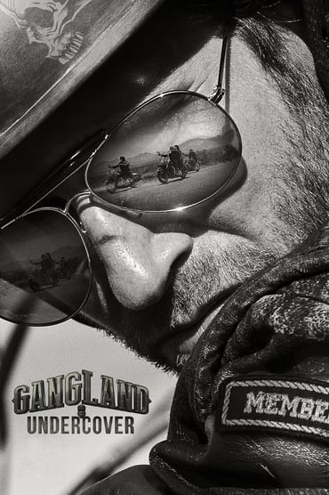 Gangland Undercover (2015) online sa prevodom