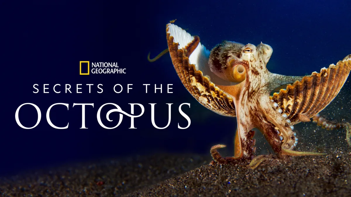 Secrets of the Octopus (2024) – S01E01 Sezona 1 Epizoda 1