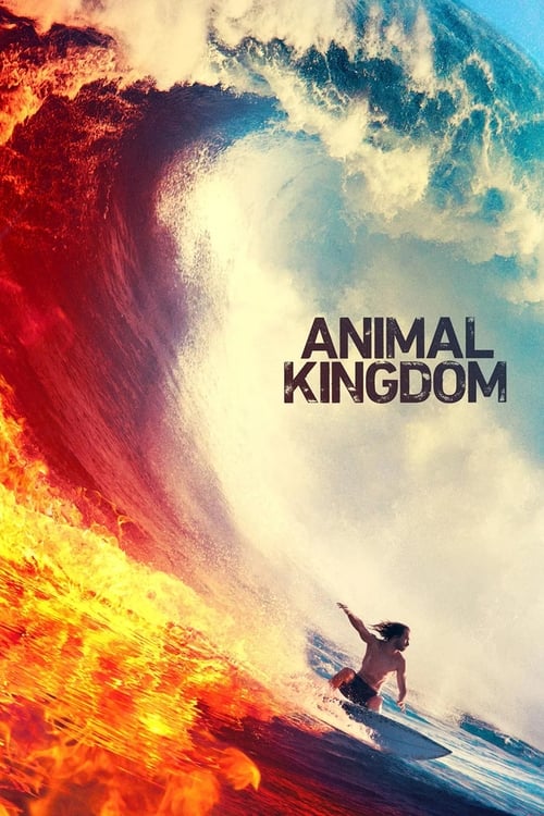Animal Kingdom (2016) online sa prevodom