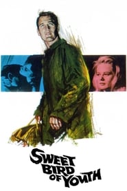 Sweet Bird of Youth (1962) online sa prevodom