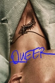 Queer (2024) online sa prevodom
