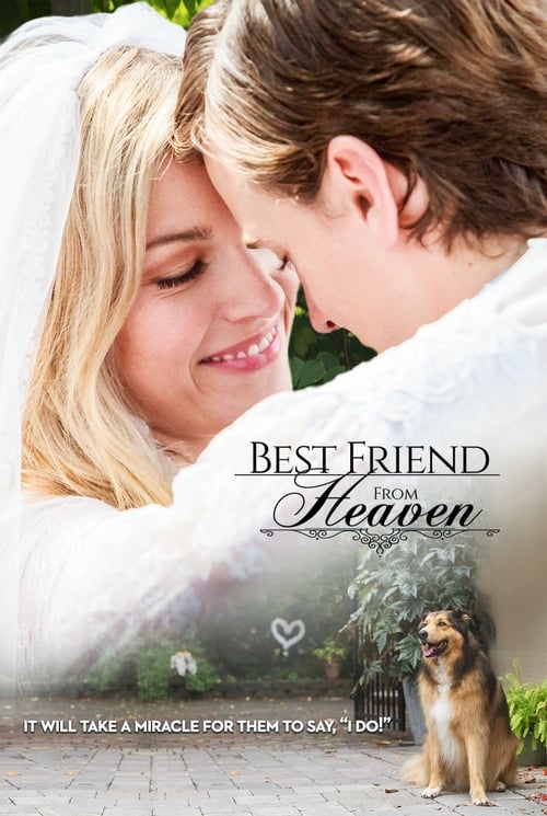 Best Friend from Heaven (2017) online sa prevodom