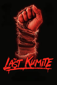 The Last Kumite (2024) online sa prevodom