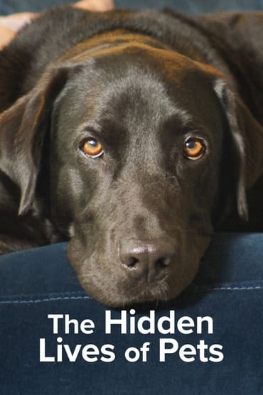 The Hidden Lives of Pets (2022) online sa prevodom