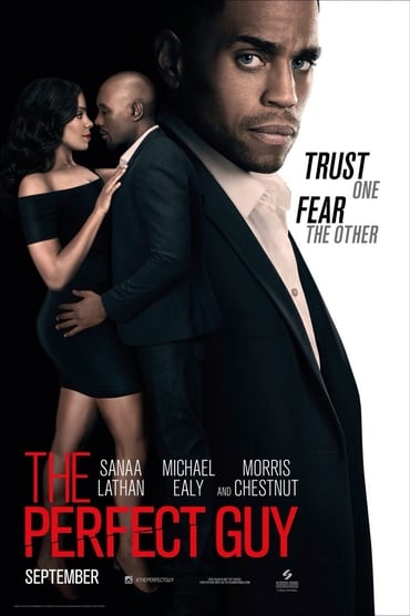 The Perfect Guy (2015) online sa prevodom