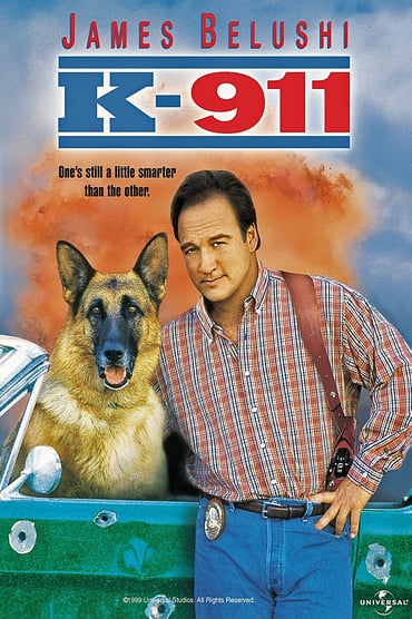 K-911 (1999) online sa prevodom