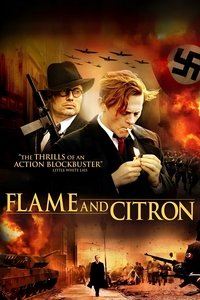 Flame & Citron (2008) online sa prevodom