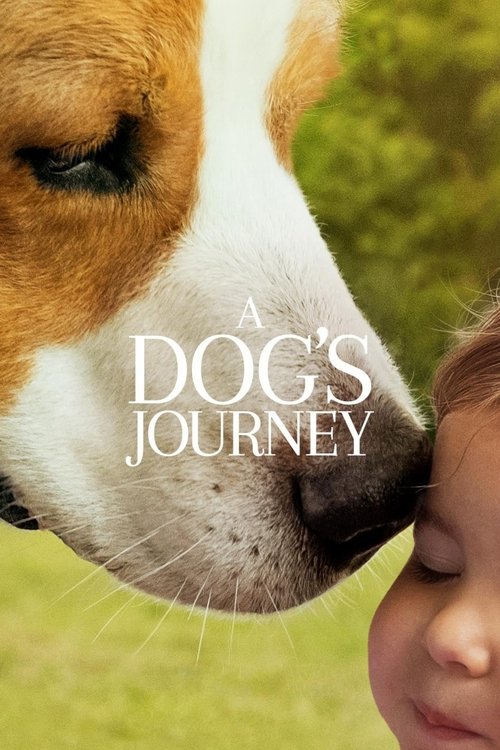 A Dog’s Journey (2019) online sa prevodom