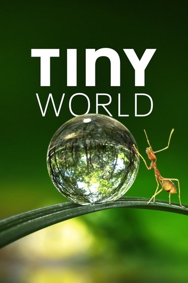 Tiny World (2020) online sa prevodom
