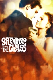 Splendor in the Grass (1961) online sa prevodom
