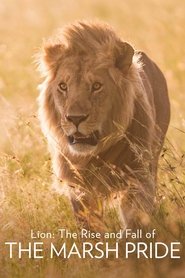 Lion online sa prevodom
