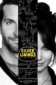 Silver Linings Playbook (2012) online sa prevodom
