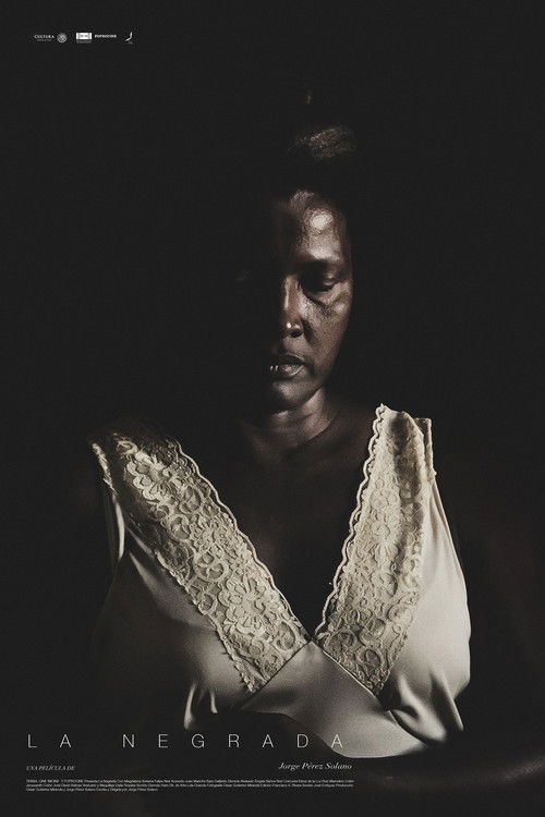 Black Mexicans (2018) online sa prevodom