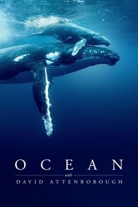Ocean with David Attenborough (2025) online sa prevodom