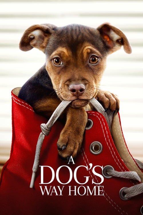 A Dog’s Way Home (2019) online sa prevodom
