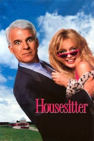 Housesitter (1992) online sa prevodom