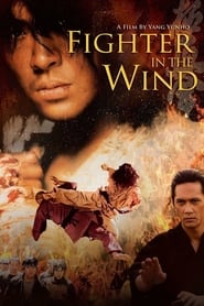Fighter in the Wind (2004) online sa prevodom