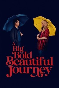 A Big Bold Beautiful Journey (2025) online sa prevodom