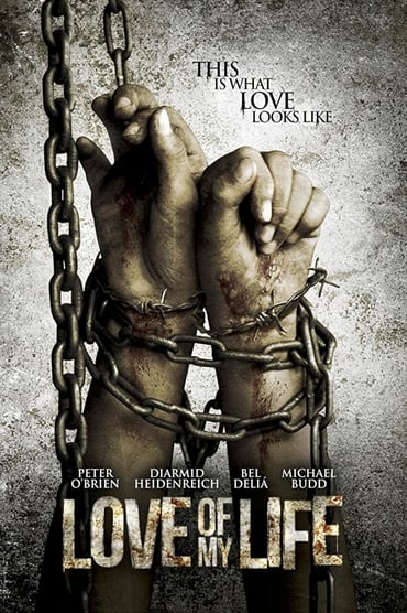 Love of My Life (2013) online sa prevodom