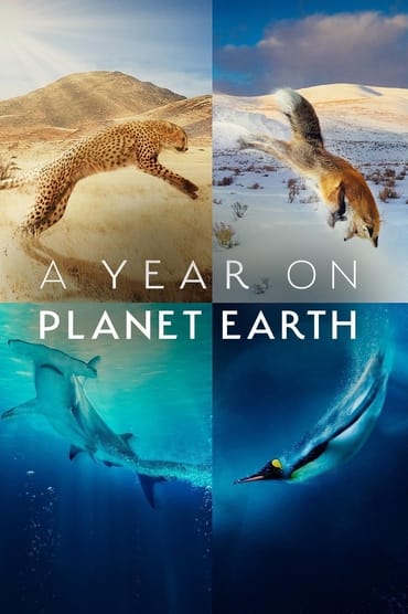 A Year on Planet Earth (2022) online sa prevodom
